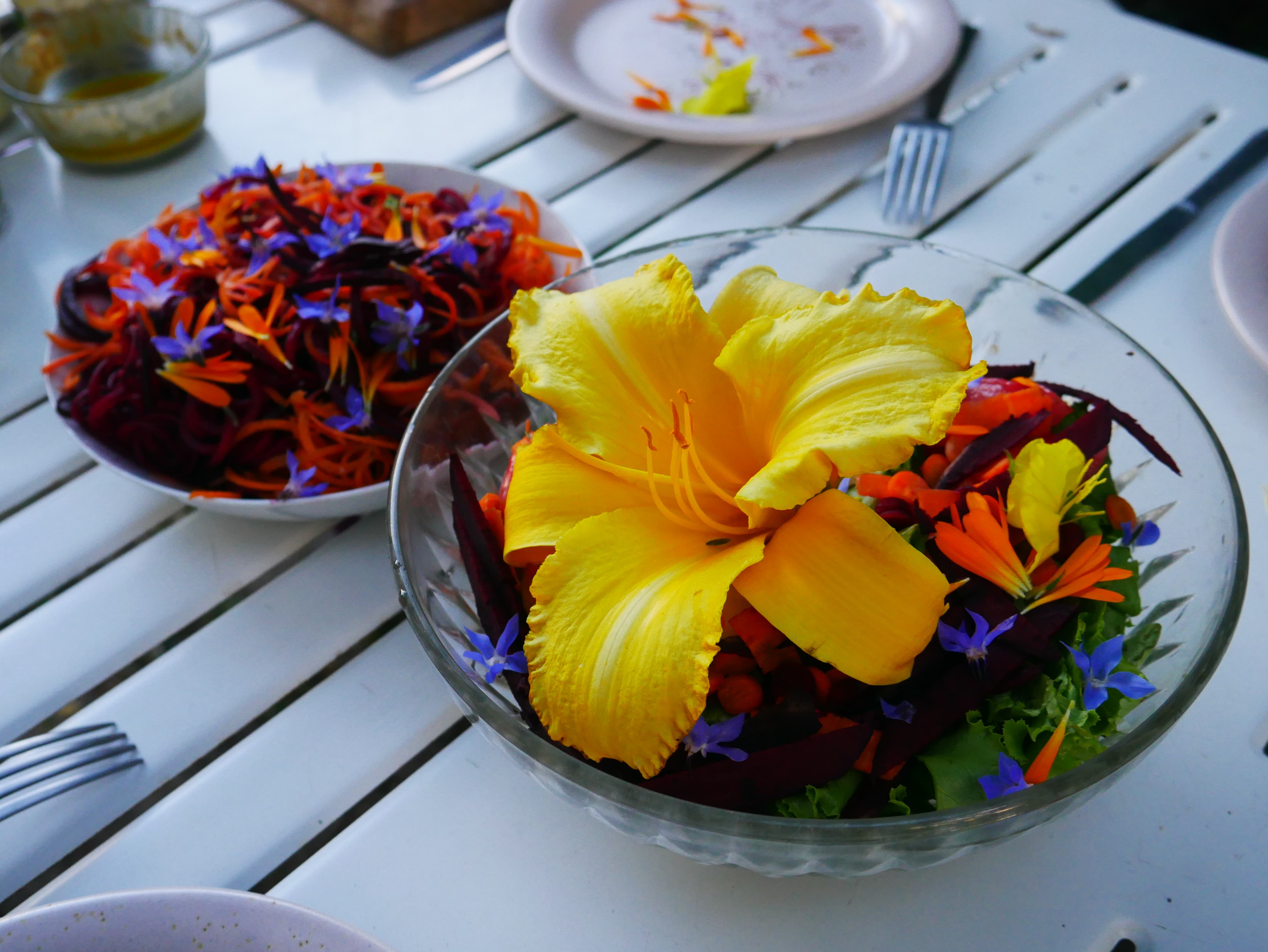 Salades fleuries et colorées du jardin