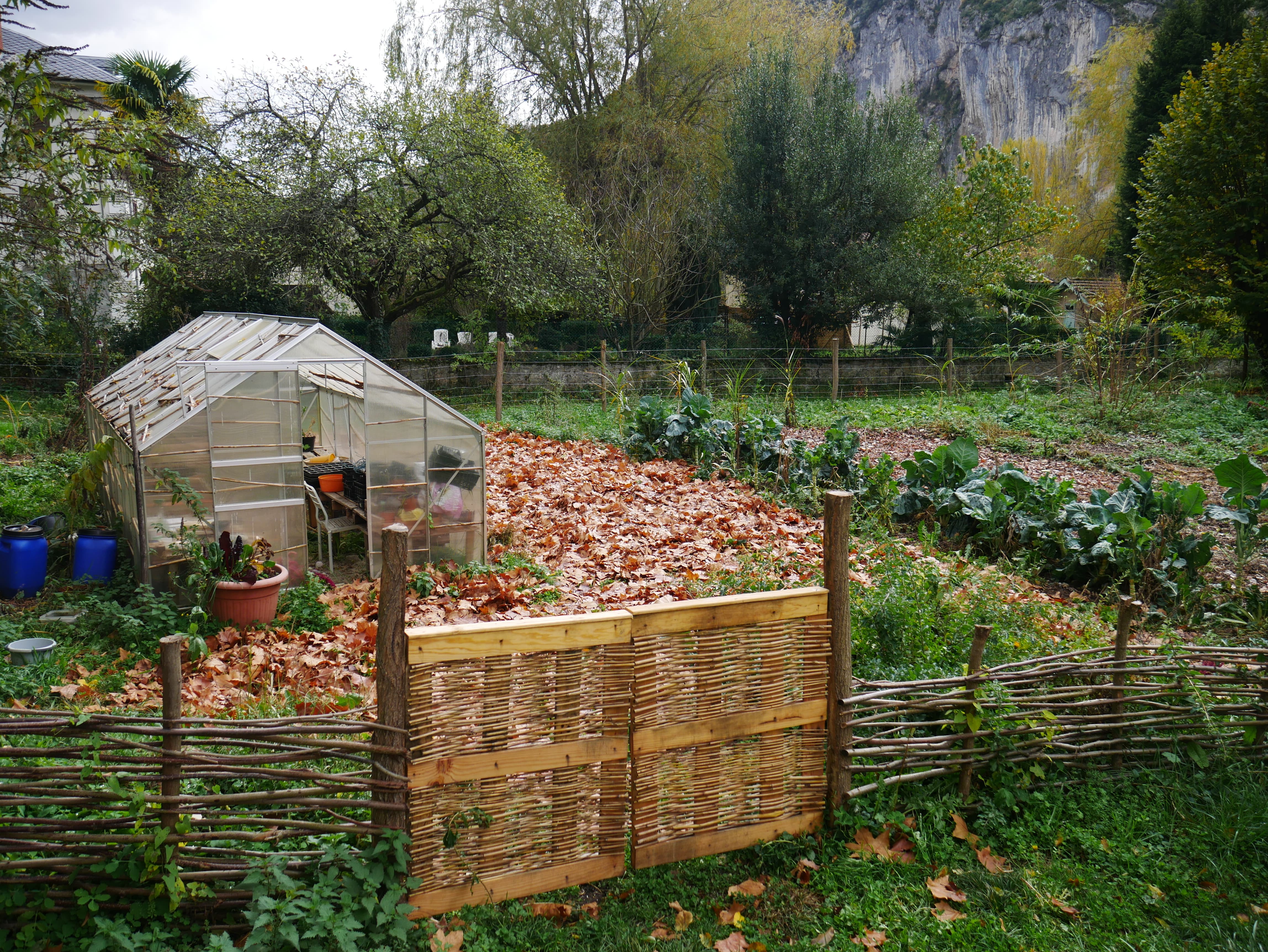 Serre de jardin avec fabrication de portes en recup de palette et bambou du jardin (2)