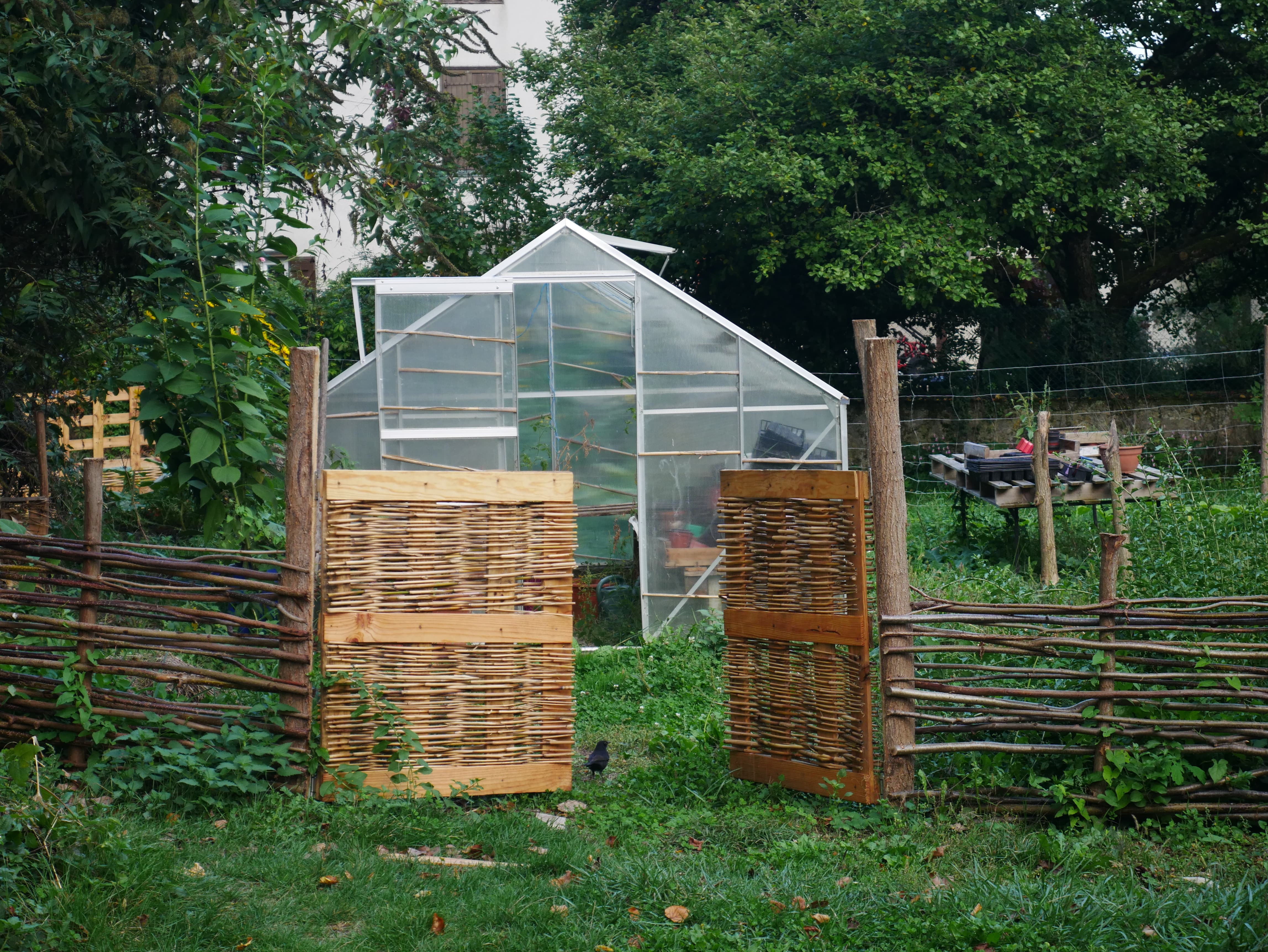 Serre de jardin avec fabrication de portes en recup de palette et bambou du jardin