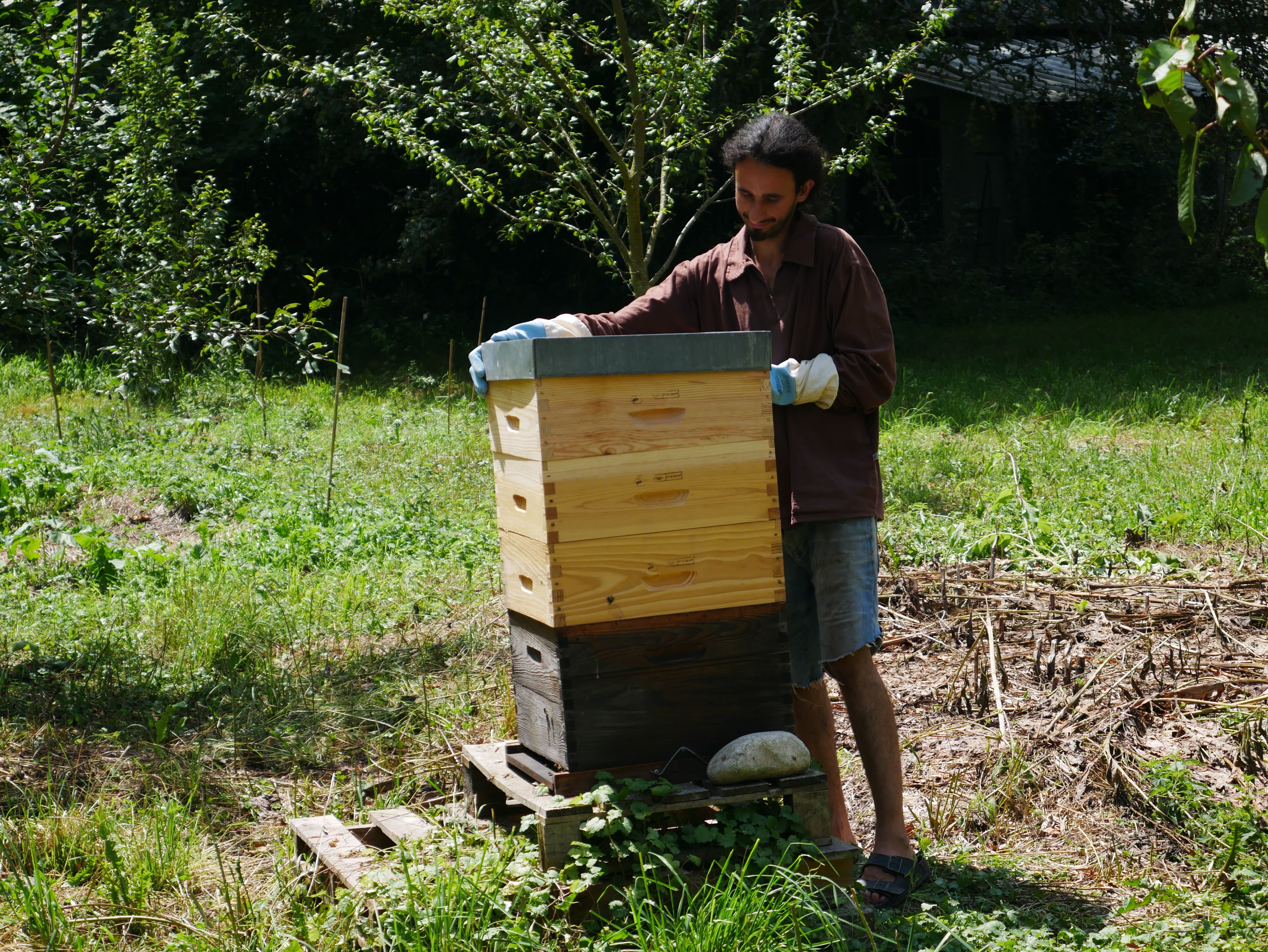 Vérification des hausses